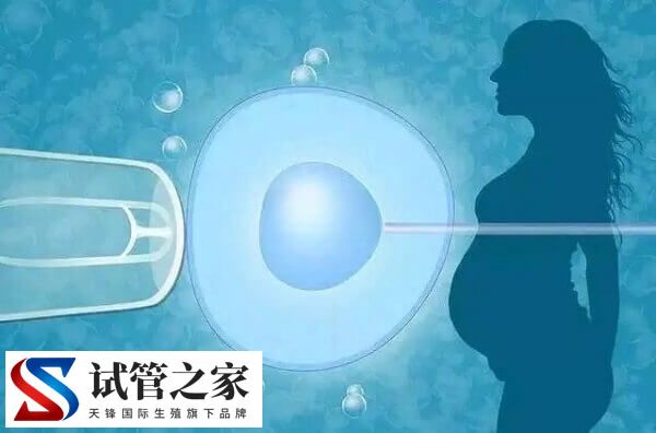 2025年试管婴儿费用大约多少(图3)