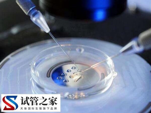 做试管最好的私立医院有哪些