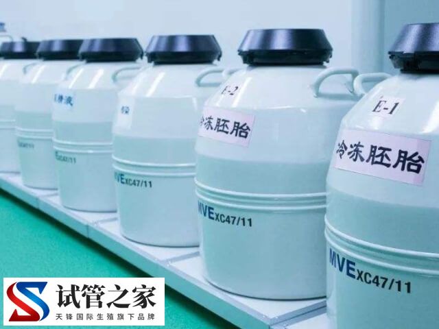 6年没交胚胎费用会怎样