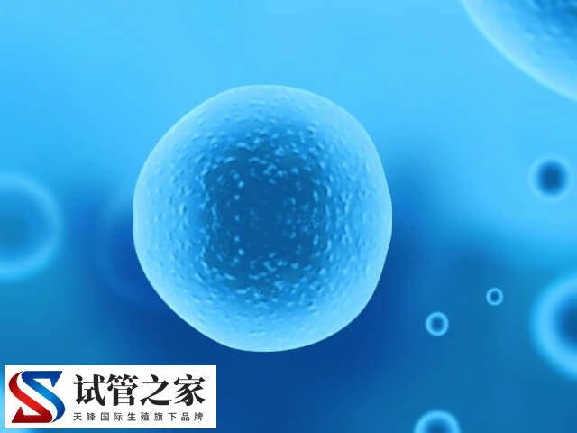 6年没交胚胎费用会怎样(图2)