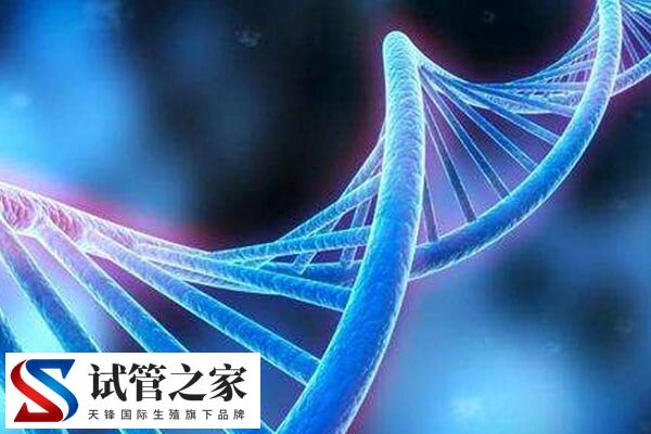 6号染色体三体严不严重