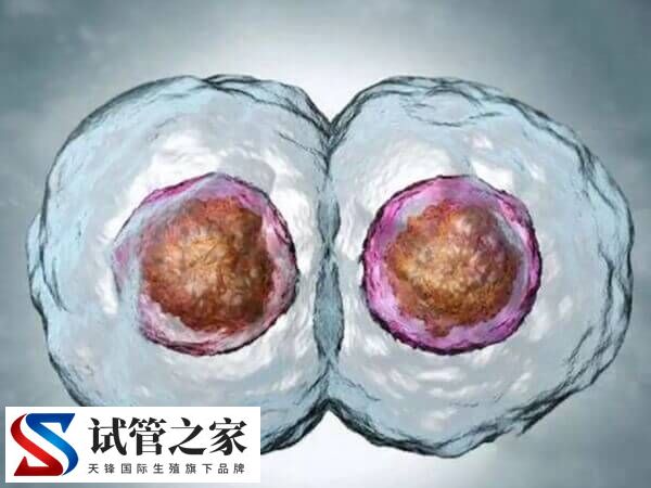 60岁试管婴儿成功案例是哪个医院做的