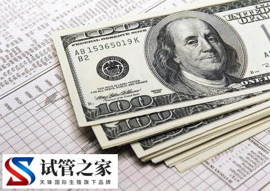 同性拉拉去美国做一个周期的试管婴儿费用是多少钱呢？(图1)