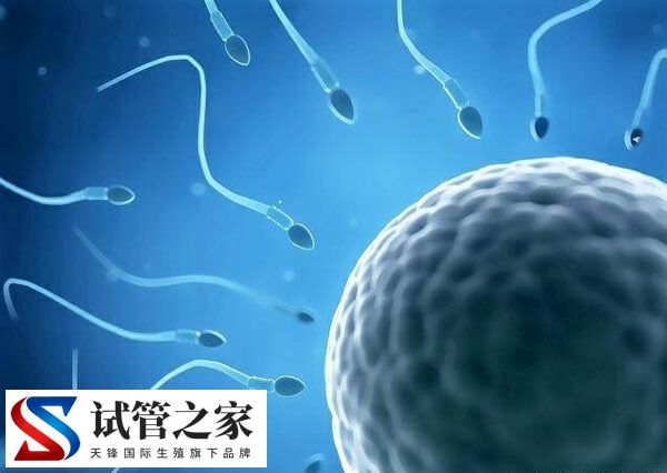 同性拉拉去美国做一个周期的试管婴儿费用是多少钱呢？(图2)