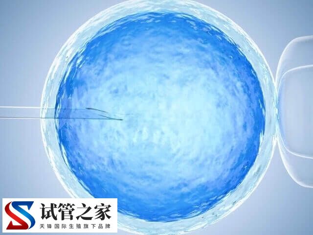 赴美做试管婴儿收费多少钱(图1) 赴美做试管婴儿收费多少钱(图1)