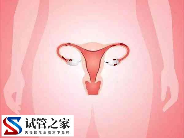 宫颈肥大做试管婴儿会不会影响着床(图2)