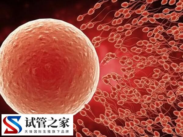 更年期做试管婴儿要怎么调理(图2)