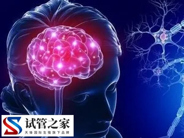脑供血不足做试管有没有影响(图2)
