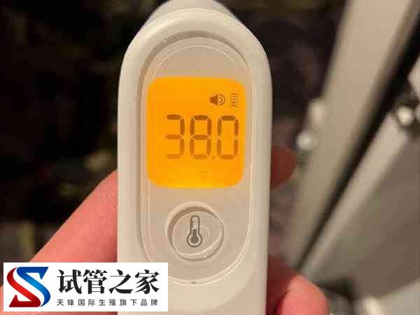 热敷腹部会不会烫死精子和卵子