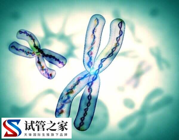 XY精子分离术的好处与危害是什么(图4)