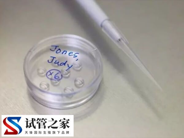 6cc囊胚还有没有必要移植