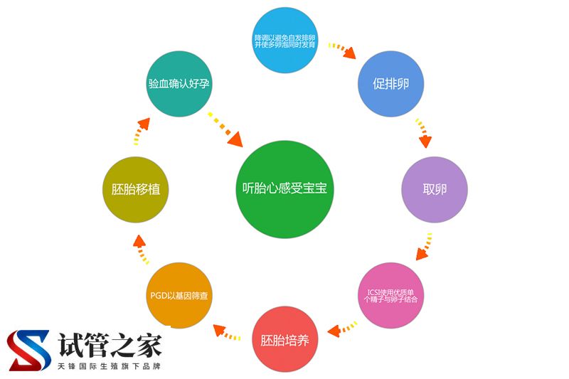 做试管的详细流程和检查有哪些