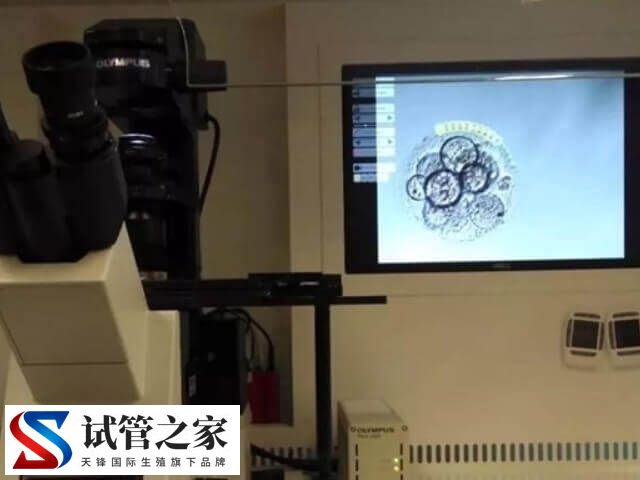 什么情况下囊胚需要辅助孵化