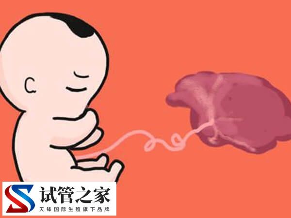 绒促性素是什么药