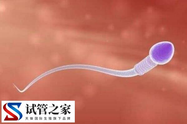 绒促性素是什么药(图4)