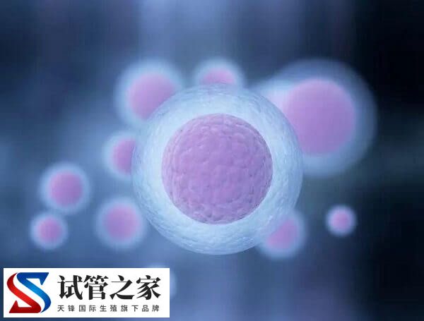 试管什么情况下打乐芮(图2)