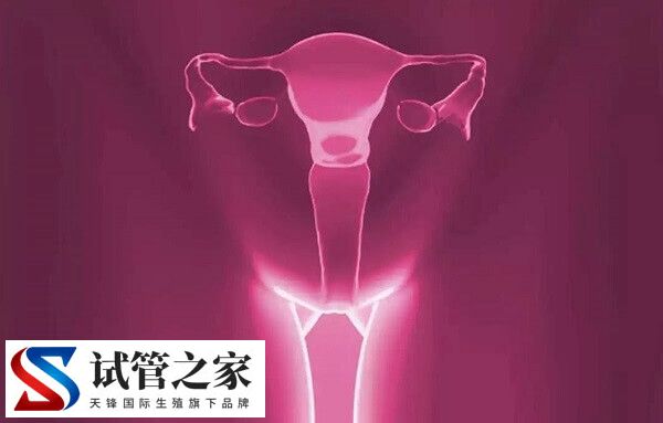 试管什么情况下打乐芮(图3)