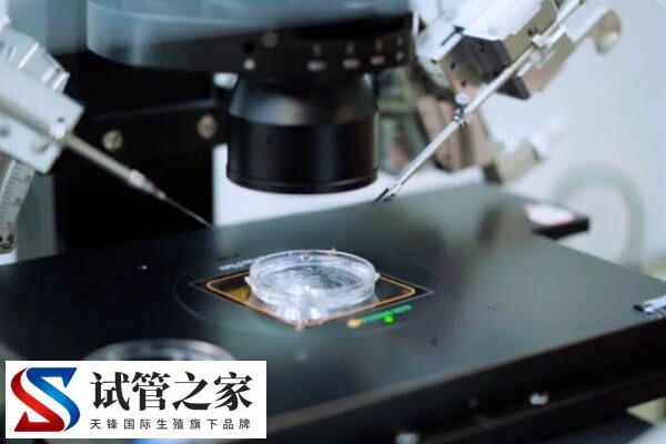 试管婴儿会不会弄错精子卵子