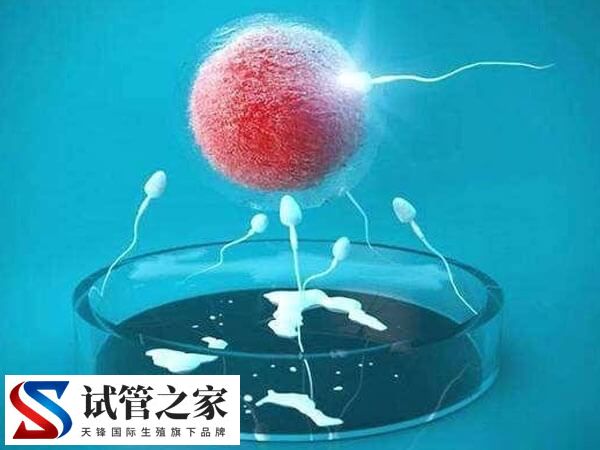 试管婴儿出现多精入卵怎么办