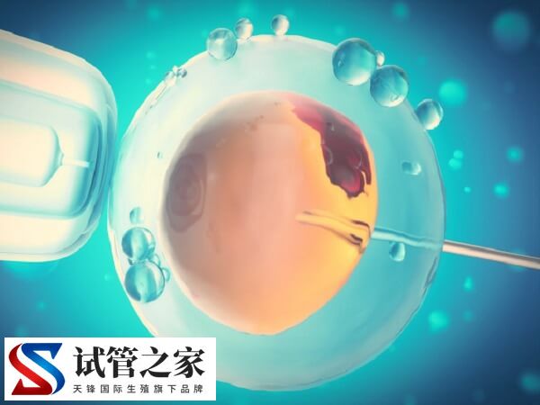 试管婴儿产生心脏畸形是怎么回事