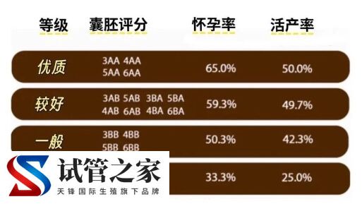 养囊成功后移植成功率多少