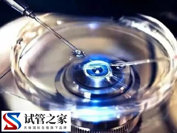 养囊成功的是不是都是优质胚胎