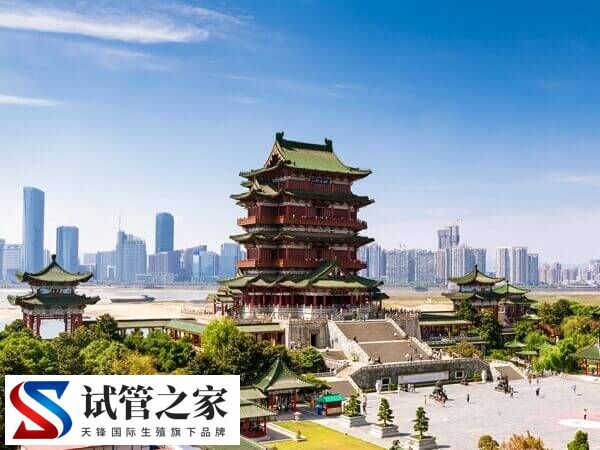 南昌私立生殖医院做试管婴儿多少钱