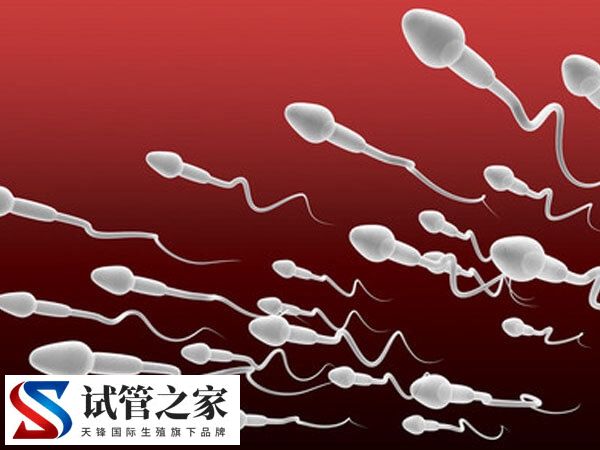 精子库的精子质量分哪些档次