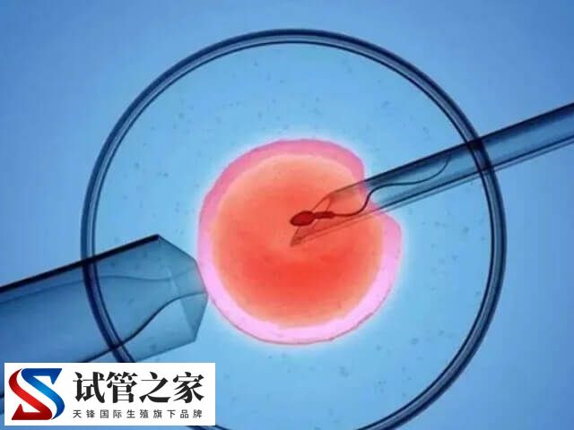 精子库的精子质量分哪些档次(图2)