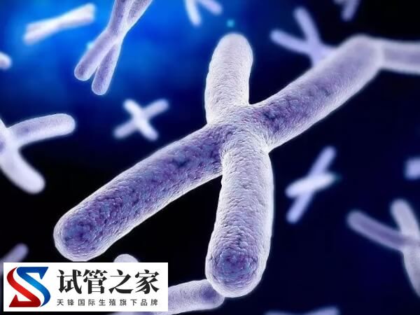 特纳综合症试管成功率