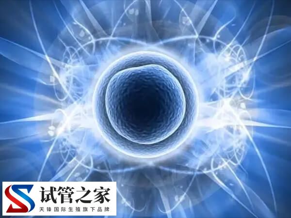 三天胚胎评分923是什么级别？是优胚吗？