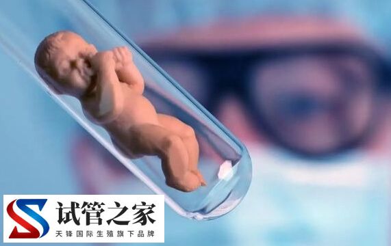 三代试管婴儿出生的宝宝会比自然生育的更聪明吗？
