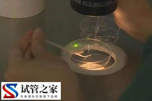 做试管婴儿是不是很受罪