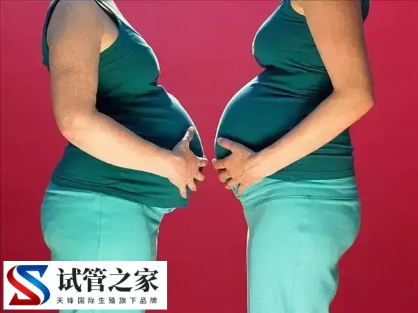 试管婴儿生双胞胎有哪些要求