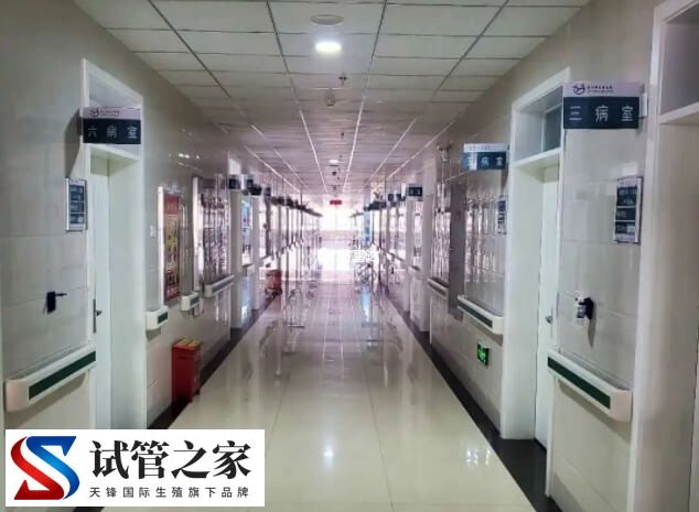 试管大概多久能毕业