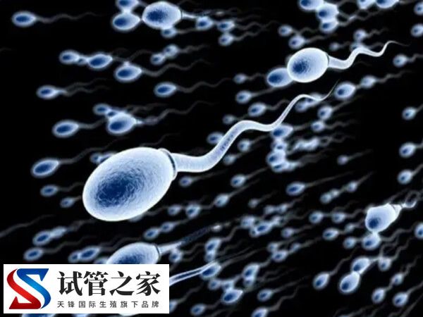 试管婴儿取精怎么取