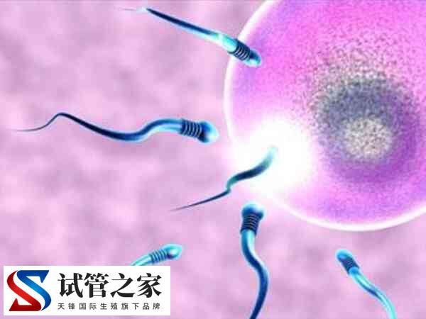 囊胚质量差还有没有移植价值