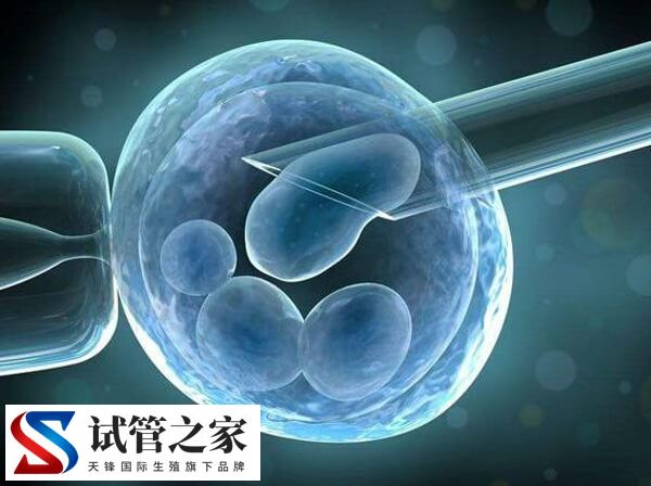 更年期还能不能做试管婴儿