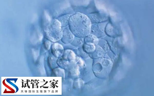 试管婴儿胚胎碎片多该怎么办
