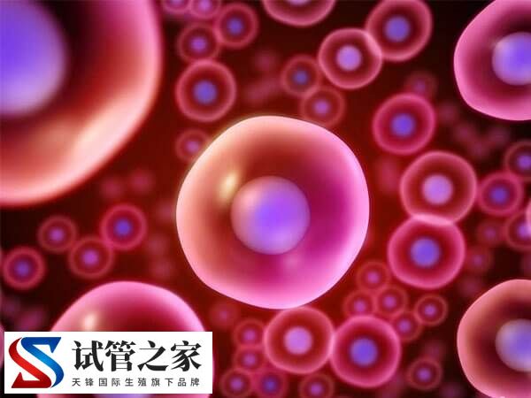 为什么试管促排会有空泡