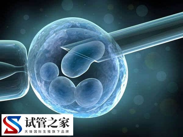 试管移植前做ERA和ERT有什么不同