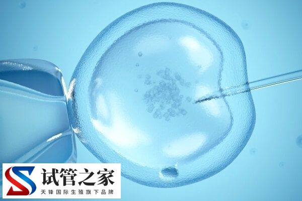 amh0.86是否一定得做试管婴儿