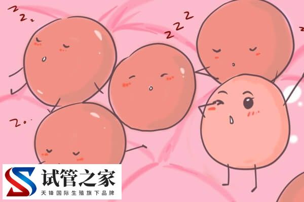 怎么监测排卵(图1) 怎么监测排卵(图1)