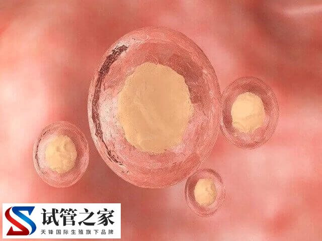 试管促排卵子只有2个怎么办