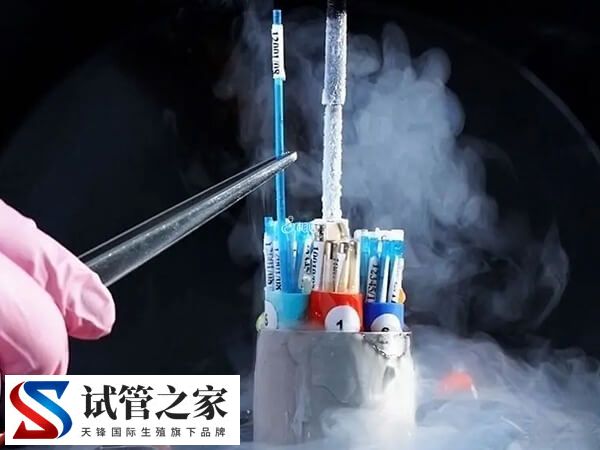 男方高血压可不可以做试管(图1)