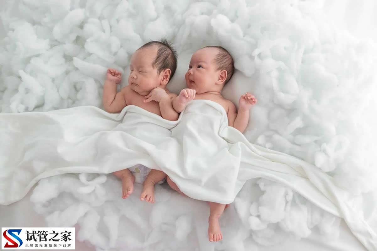  龙凤胎发生概率在千分之一到千分之五之间