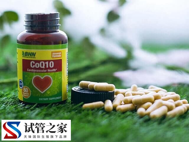 取卵前吃辅酶q10怎么样