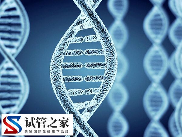 三代试管可不可以筛查红斑狼疮(图2)