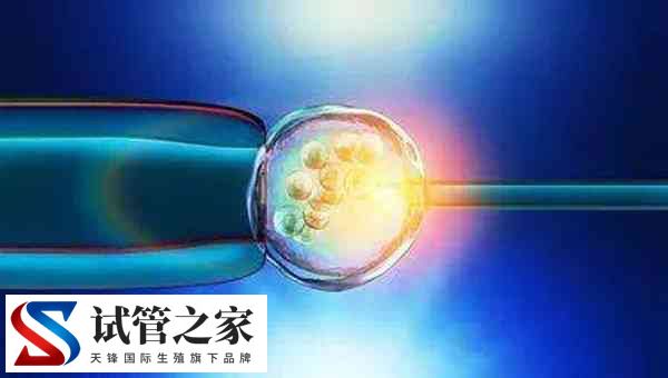 3代试管可不可以筛查出嵌合体胚胎(图1)