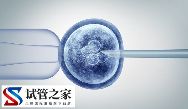 试管婴儿技术要选择哪一种(图1) 试管婴儿技术要选择哪一种(图1)